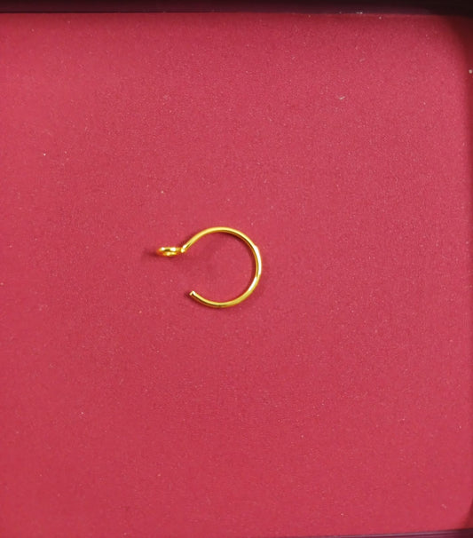 Dainty Nose Ring